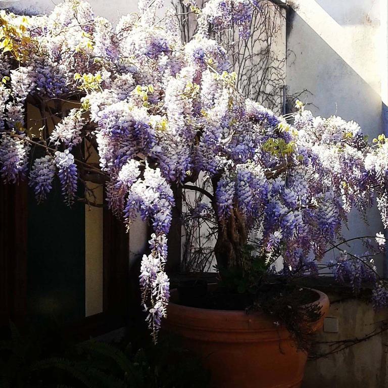 B&B Le Terrazze Bisceglie Kültér fotó