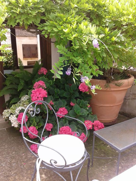 B&B Le Terrazze Bisceglie Kültér fotó