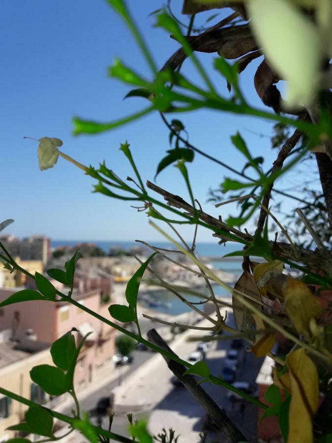 B&B Le Terrazze Bisceglie Kültér fotó